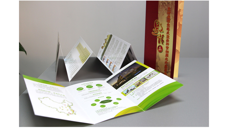 高品质飞印网三折页印刷制作图片效果